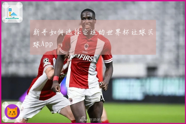 新手如何选择合适的世界杯让球买球App
