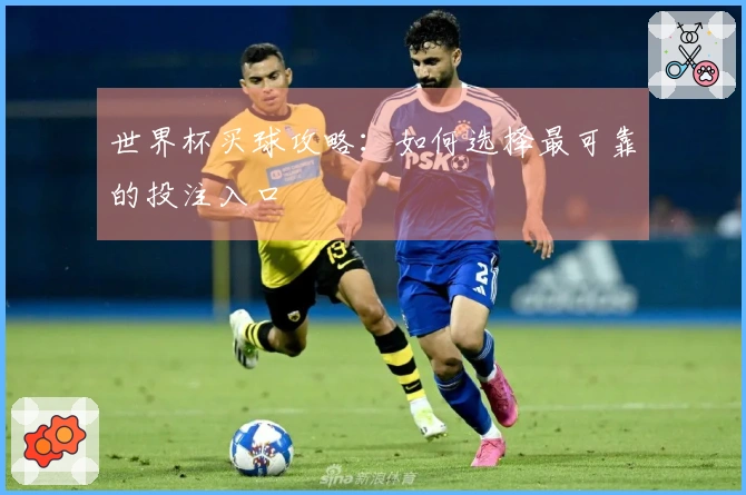 世界杯买球攻略：如何选择最可靠的投注入口