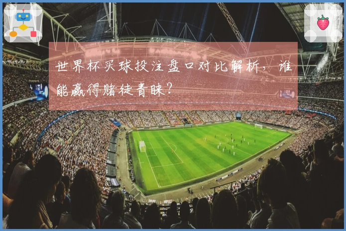 世界杯买球投注盘口对比解析，谁能赢得赌徒青睐？