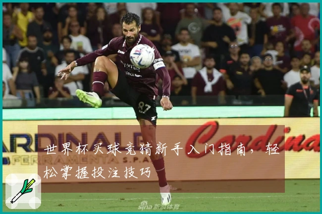 世界杯买球竞猜新手入门指南，轻松掌握投注技巧