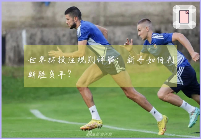 世界杯投注规则详解：新手如何判断胜负平？