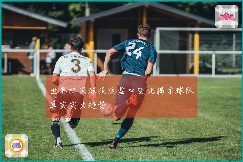 世界杯买球投注盘口变化揭示球队真实实力趋势