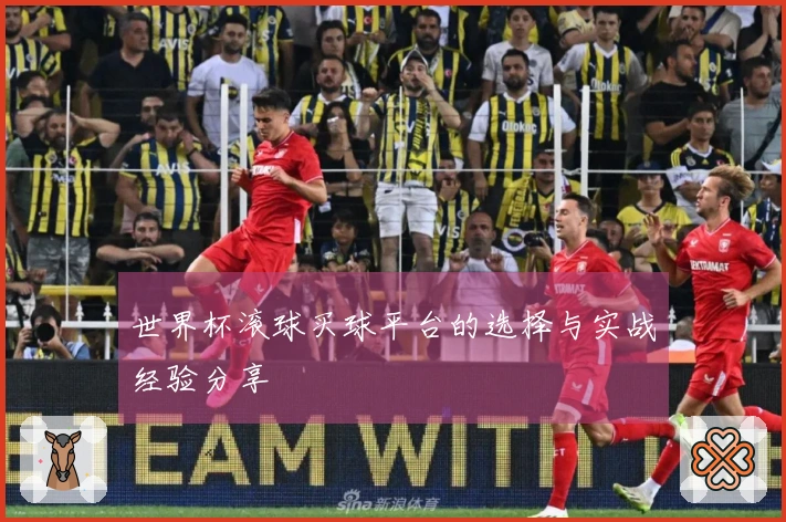 世界杯滚球买球平台的选择与实战经验分享