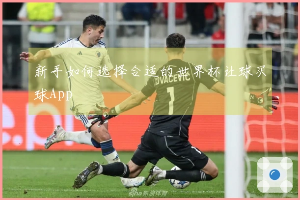 新手如何选择合适的世界杯让球买球App