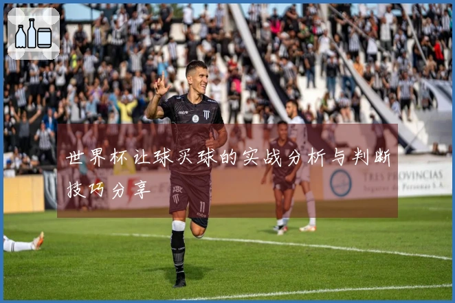 世界杯让球买球的实战分析与判断技巧分享