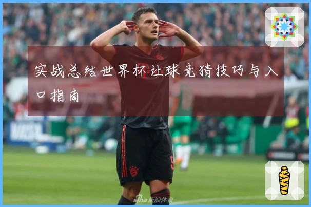 实战总结世界杯让球竞猜技巧与入口指南