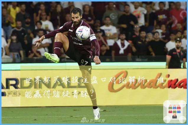 世界杯买球投注盘口对比解析，谁能赢得赌徒青睐？