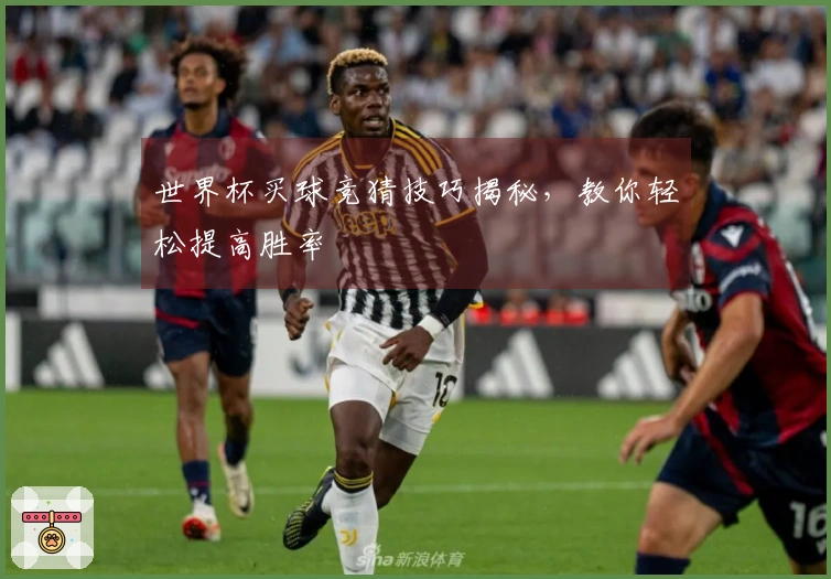 世界杯买球竞猜技巧揭秘，教你轻松提高胜率