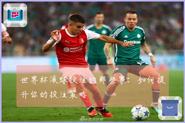 世界杯滚球投注的那些事：如何提升你的投注策略