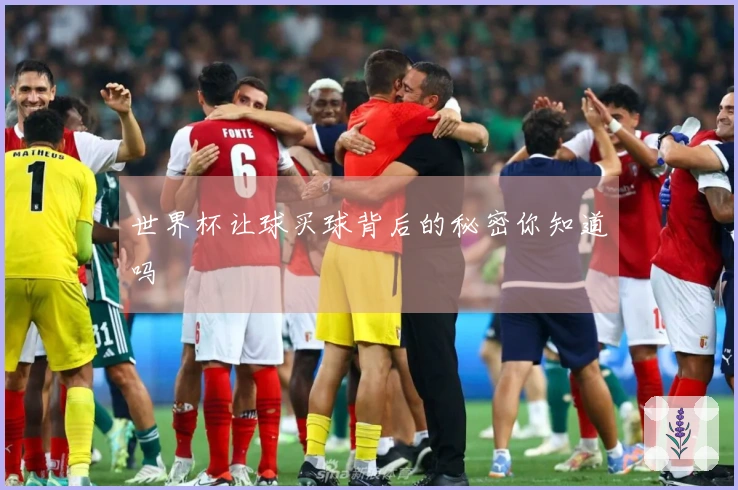 世界杯让球买球背后的秘密你知道吗