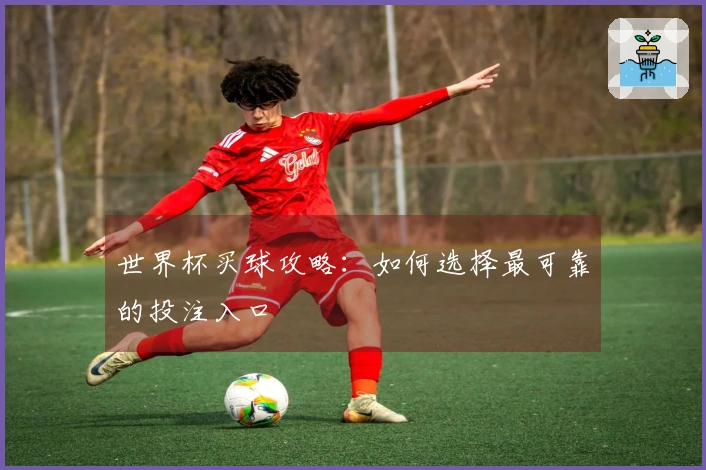 世界杯买球攻略：如何选择最可靠的投注入口